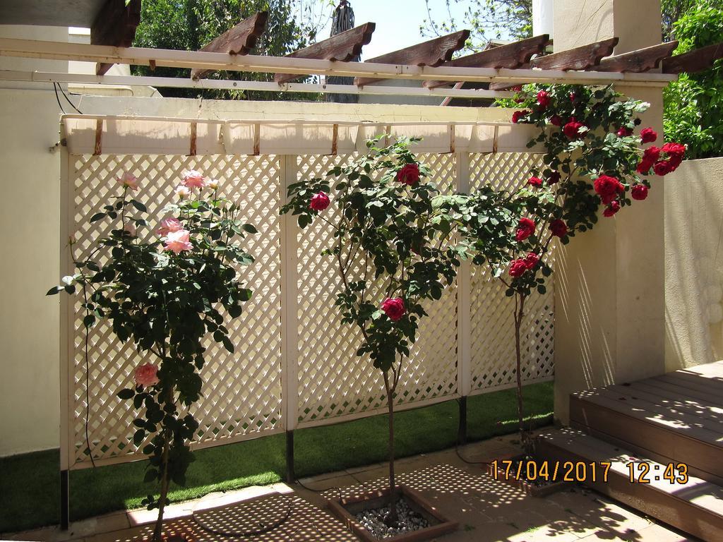 'The Rose' Business Travelers Villa Yehud-Monosson Exterior photo